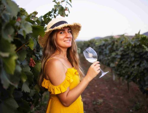 Experiencias recomendadas para el otoño en Rioja alta